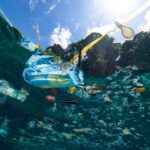 shot-of-plastic-bag